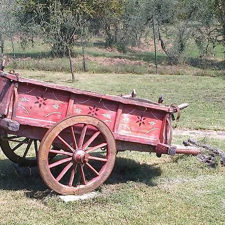 La Casetta Di Barbara Apartamento