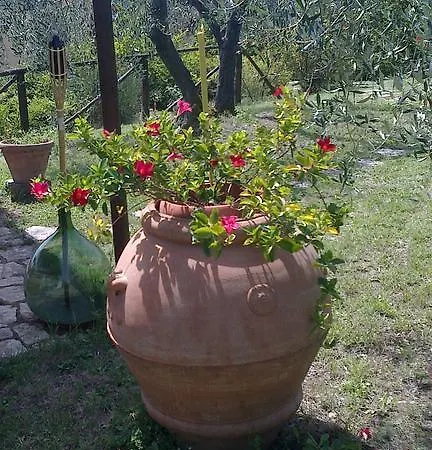 La Casetta Di Barbara *